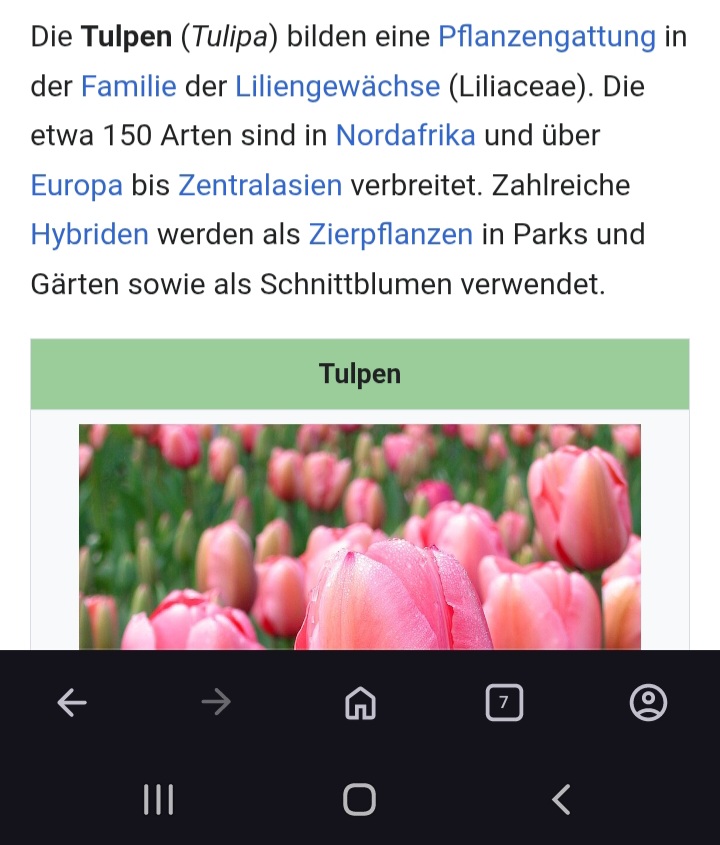 Happy Birthday Wikipedia!