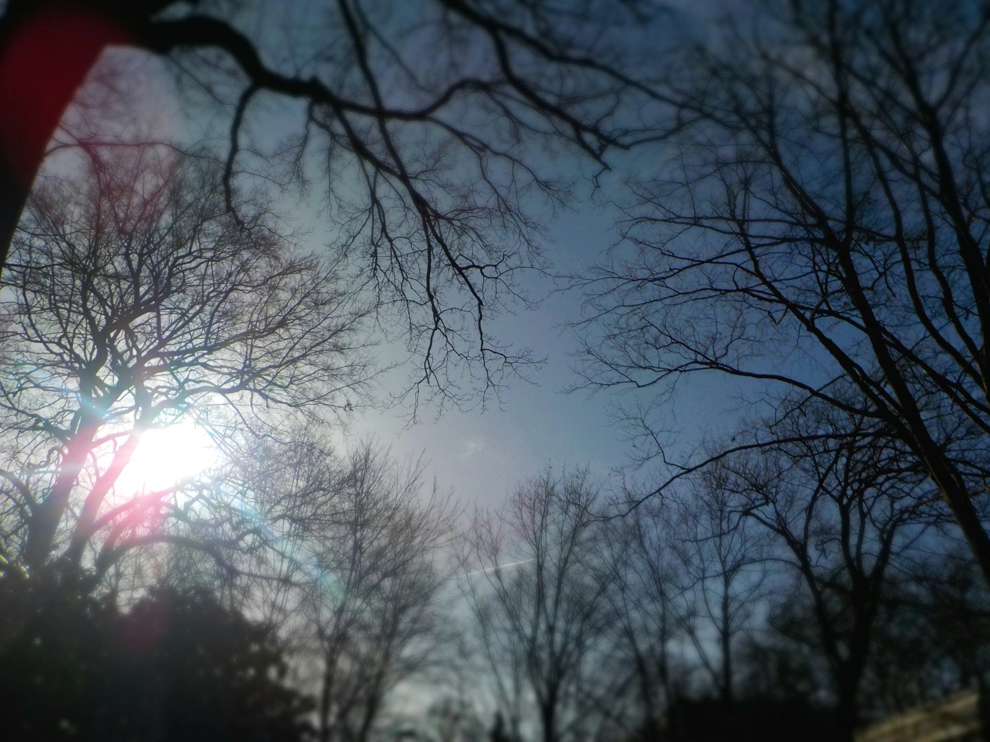 Der Frühling ist da!