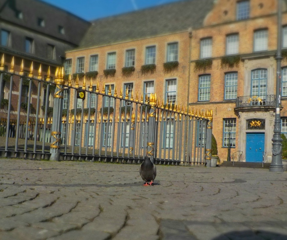 Spendenzwischenstand