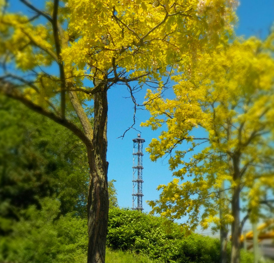 Grünes Duisburg